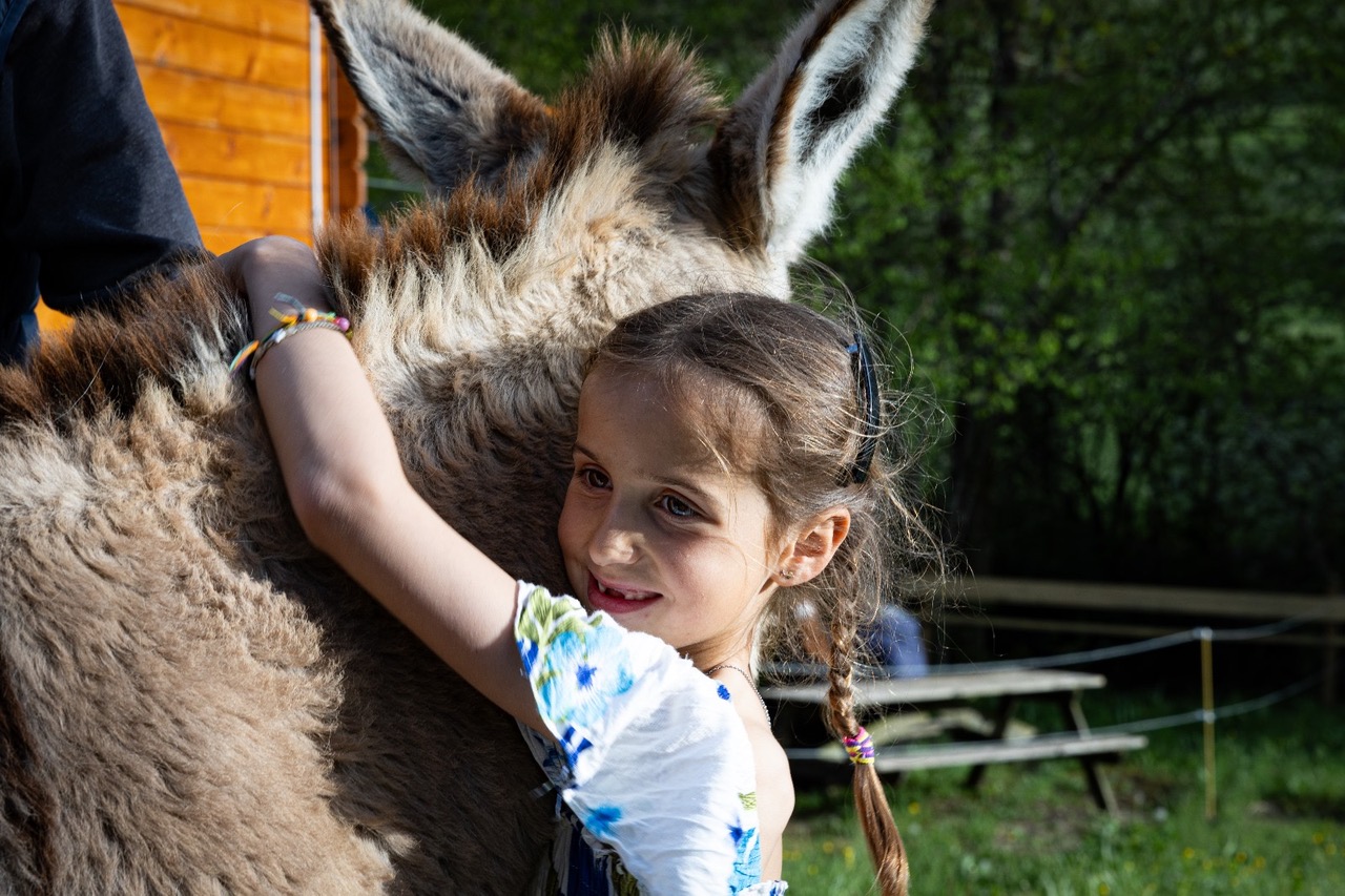 Médiation animale – 3